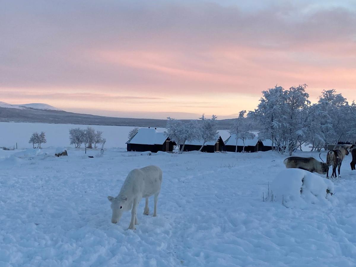 Arctic Land Adventure Glass Igloos Kilpisjärvi Eksteriør bilde