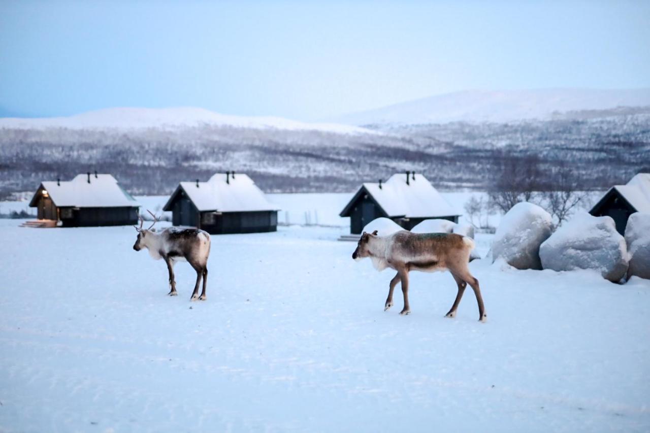 Arctic Land Adventure Glass Igloos Kilpisjärvi Eksteriør bilde