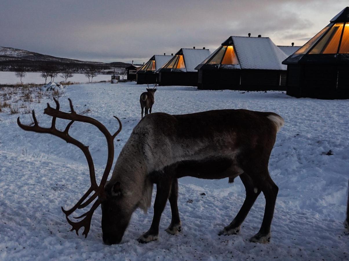 Arctic Land Adventure Glass Igloos Kilpisjärvi Eksteriør bilde