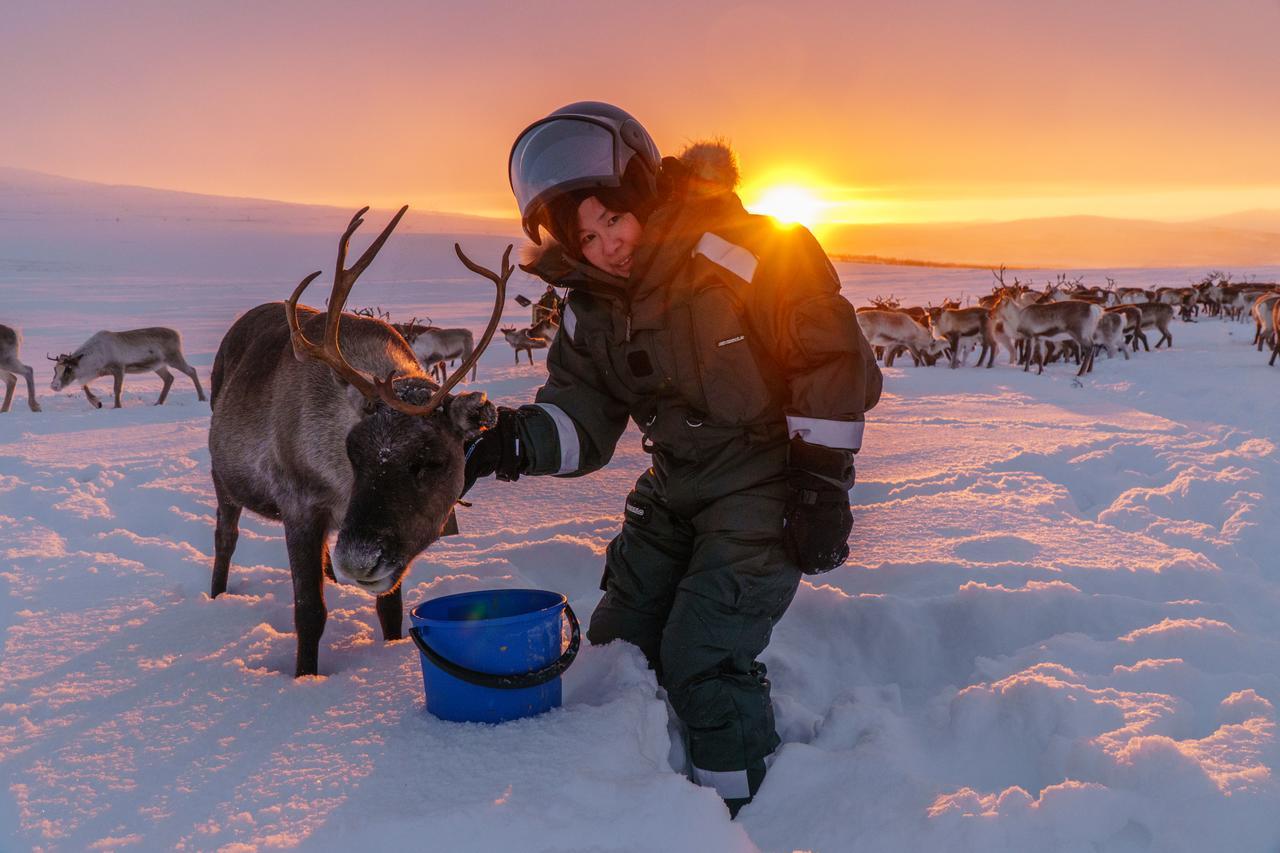 Arctic Land Adventure Glass Igloos Kilpisjärvi Eksteriør bilde