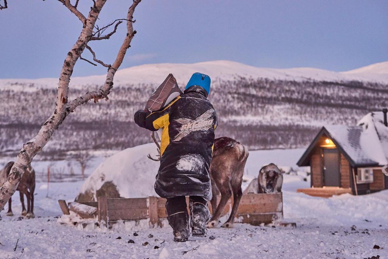 Arctic Land Adventure Glass Igloos Kilpisjärvi Eksteriør bilde